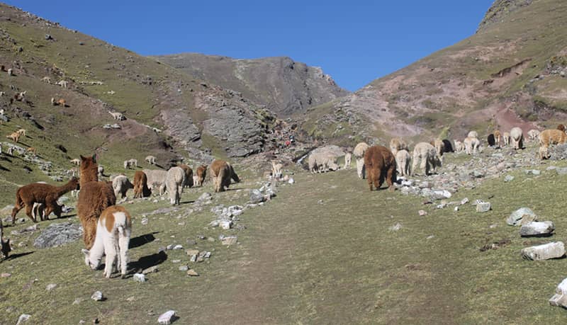 Rainbow Mountain Trek